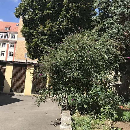 City Blumen